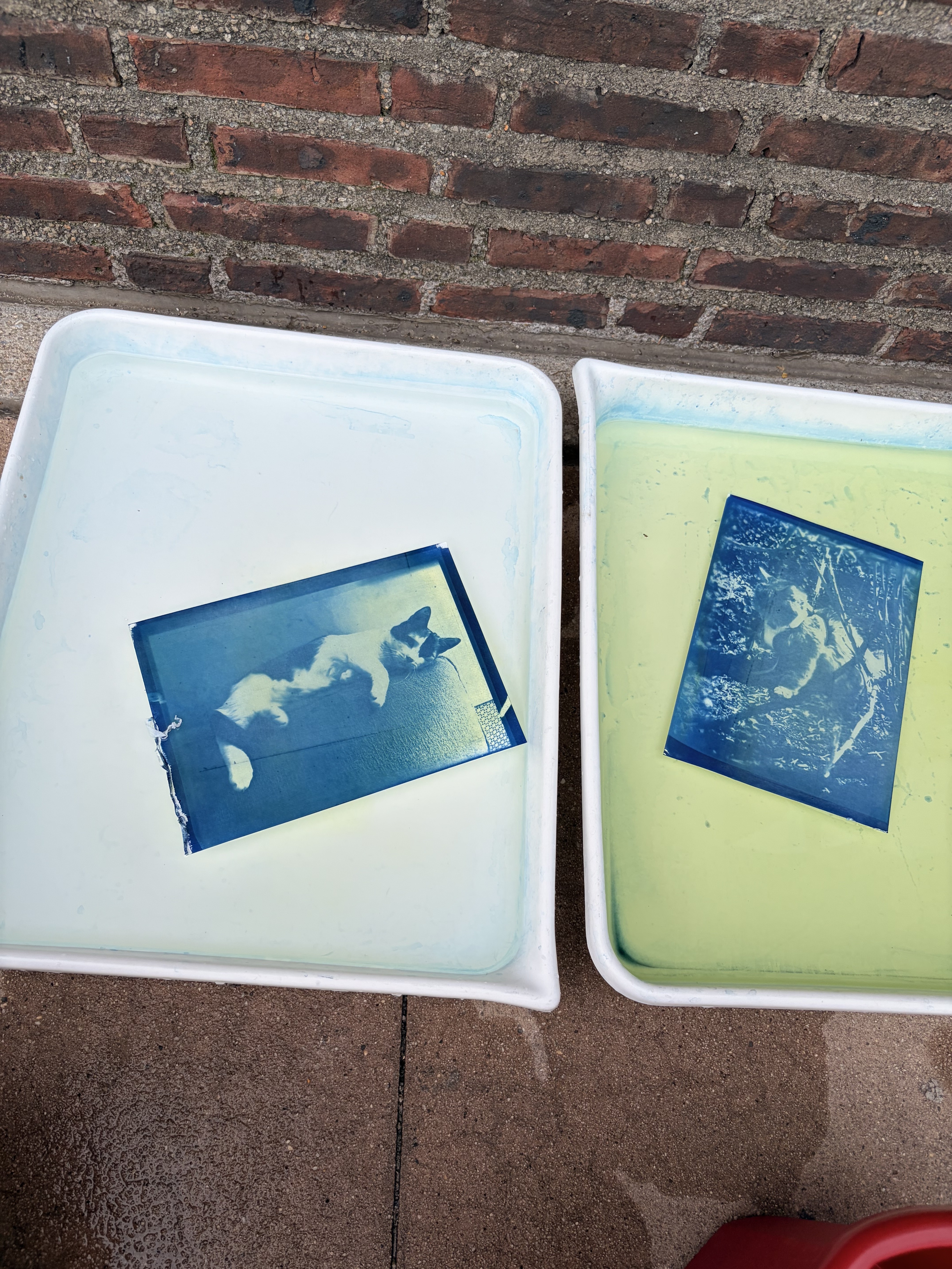 2 faded cyanotypes