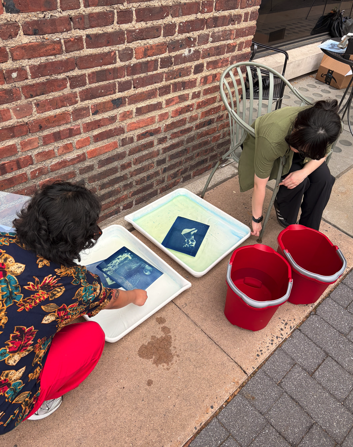 Two people printing cyanotypes