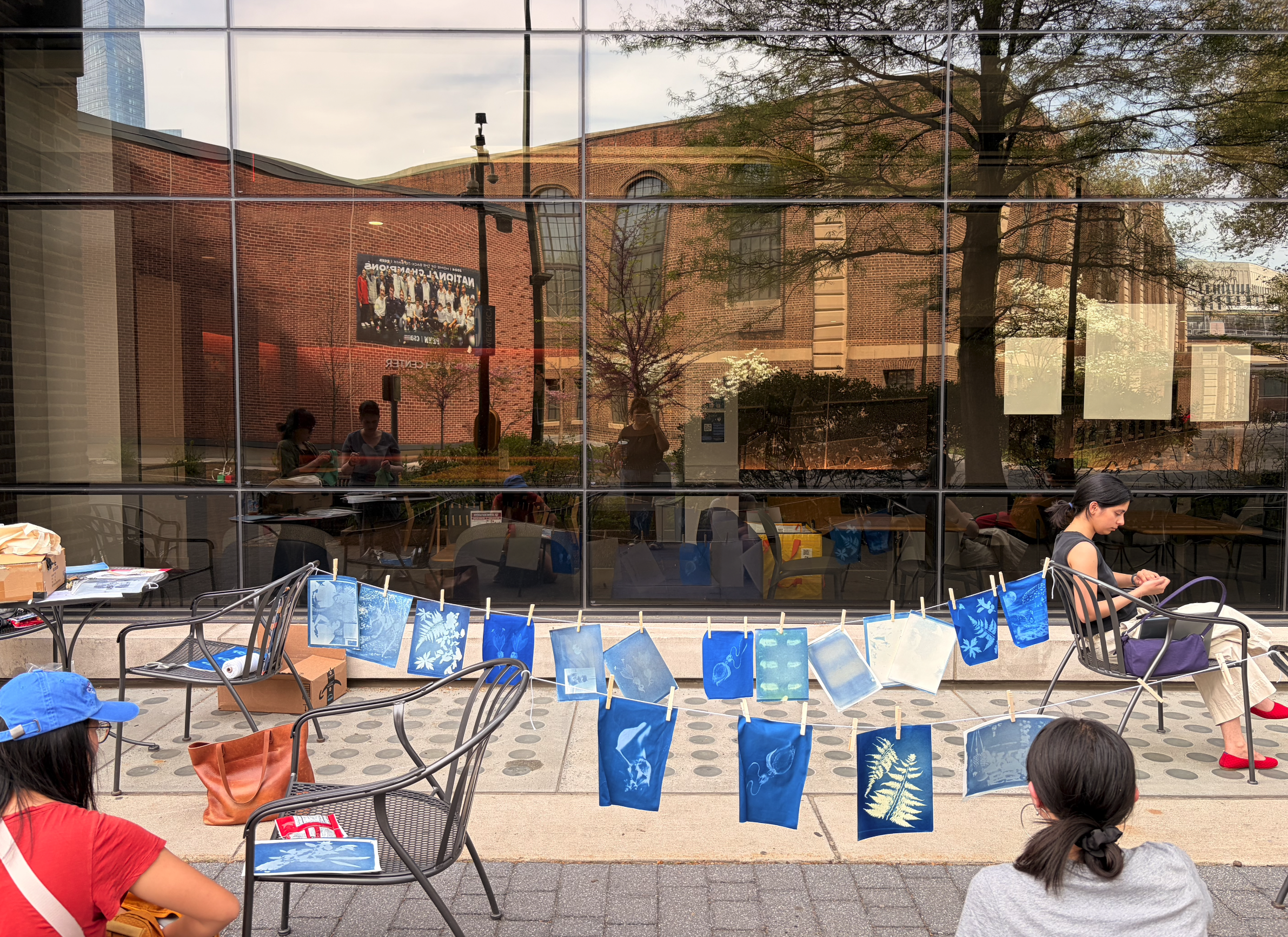 Cyanotype prints drying in the sun